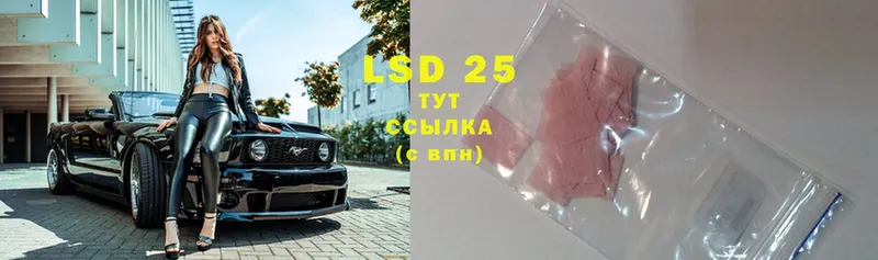 хочу   Губкин  LSD-25 экстази кислота 